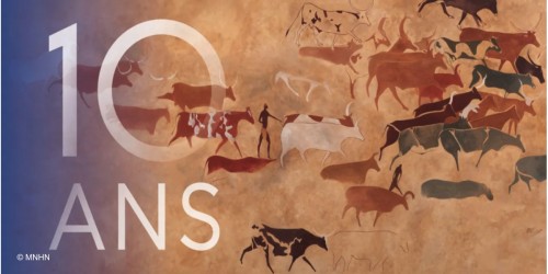 Le Musée de l'Homme fête ses 10 ans, un événement familial à ne pas manquer