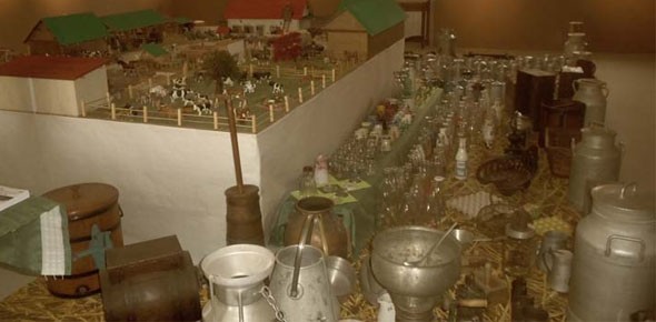 ANNIVERSAIRE au milieu des animaux à la Bergerie Nationale 
