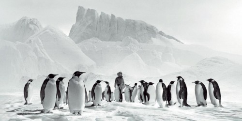 Voyage au pôle Sud, bienvenue dans le royaume des glaces !