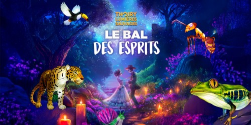 Les illuminations Thoiry Lumières sauvages, un très beau parcours nocturne