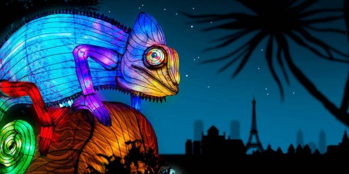 Jungle en voie d'illumination, le Jardin des Plantes se transforme en véritable jungle !