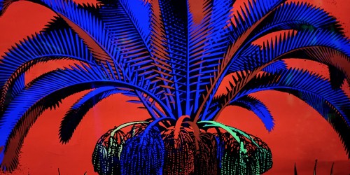 M.C. Escher, une exposition fascinante à vivre en famille