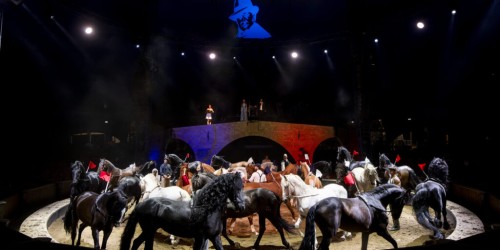 Les Folies Gruss, on est touché et ému par l’authenticité des mots et la virtuosité des acrobaties.