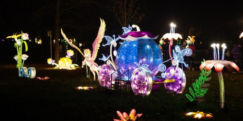 L’Odyssée Lumineuse, la magie de Noël investit le Parc Floral de Paris !