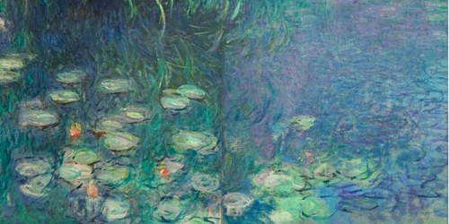 Visite guidée autour des Nymphéas au musée de l’Orangerie