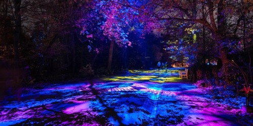 Lumière en Seine, un parcours illuminé au domaine national de Saint-Cloud