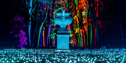 Lumières en scène, un très beau parcours illuminé dans le domaine de Saint-Cloud