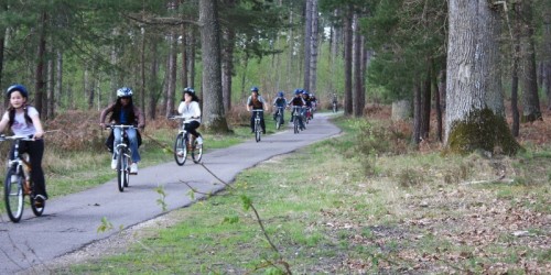 Une journée à vélo dans la forêt de Rambouillet