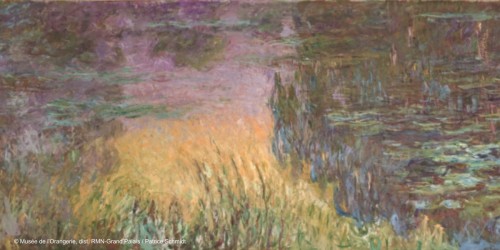 Visite bébé, musée de l'Orangerie, en immersion dans le jardin de Claude Monet 